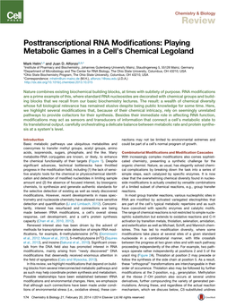 Playing Metabolic Games in a Cell's Chemical Legoland