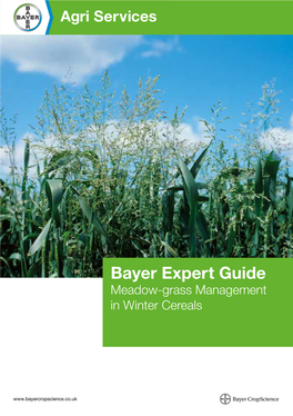 Bayer Expert Guide Meadow-Grass Management in Winter Cereals