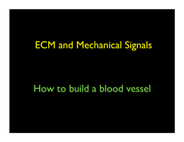 Cre-Lox Basics - Generating Knockout Mice