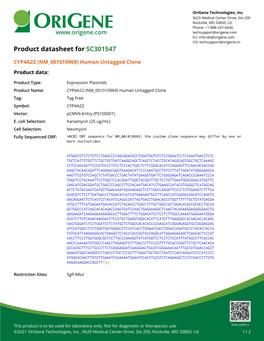 CYP4A22 (NM 001010969) Human Untagged Clone – SC301547 | Origene