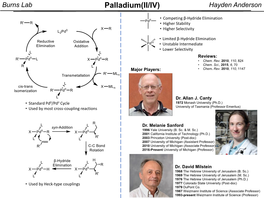 Palladium(II/IV) Hayden Anderson