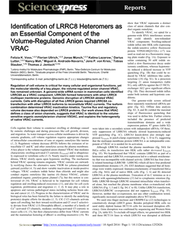 Identification of LRRC8 Heteromers As an Essential Component of The