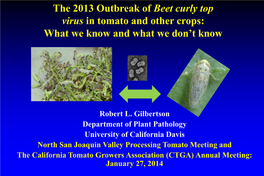 The 2013 Outbreak of Beet Curly Top Virus in Tomato and Other Crops: What We Know and What We Don’T Know