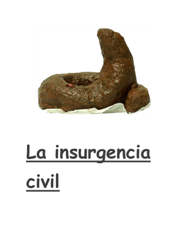 La Insurgencia Civil