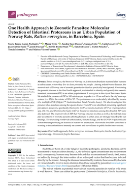 One Health Approach to Zoonotic Parasites: Molecular Detection of Intestinal Protozoans in an Urban Population of Norway Rats, Rattus Norvegicus, in Barcelona, Spain