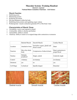 Muscular System -Training Handout Karen L