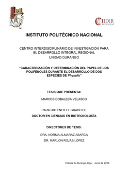 Marcos Cobaleda Velasco Tesis Doctorado 2016.Pdf