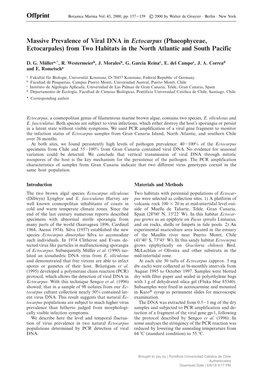 Offprint Massive Prevalence of Viral DNA in Ectocarpus