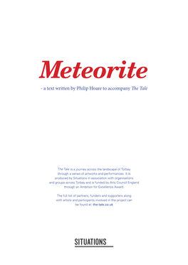 Meteorite by Philip Hoare