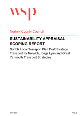 NCC Sustainability Appraisal Scoping Report