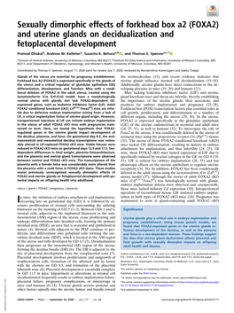 Sexually Dimorphic Effects of Forkhead Box A2 (FOXA2) and Uterine Glands on Decidualization and Fetoplacental Development