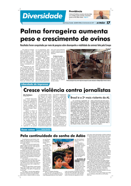 Jornal Em PDF 22-02-17Bb