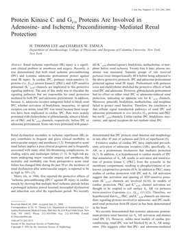 And Ischemic Preconditioning–Mediated Renal Protection