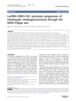 Lncrna MNX1-AS1 Promotes Progression of Intrahepatic