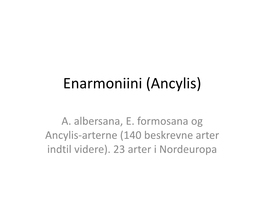 Enarmoniini (Ancylis)