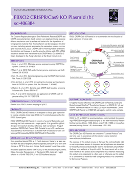 FBXO2 CRISPR/Cas9 KO Plasmid (H): Sc-406384