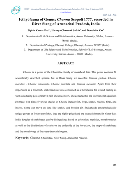 Icthyofauna of Genus: Channa Scopoli 1777, Recorded in River Siang of Arunachal Pradesh, India