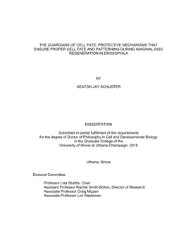 Protective Mechanisms That Ensure Proper Cell Fate and Patterning During Imaginal Disc Regeneration in Drosophila