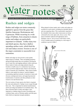 Rushes and Sedges