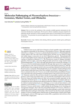 Molecular Pathotyping of Plasmodiophora Brassicae— Genomes, Marker Genes, and Obstacles