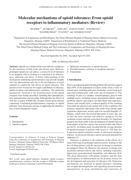 Molecular Mechanisms of Opioid Tolerance: from Opioid Receptors to Inflammatory Mediators (Review)