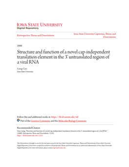 Structure and Function of a Novel Cap-Independent Translation Element in the 3' Untranslated Region of a Viral RNA Liang Guo Iowa State University