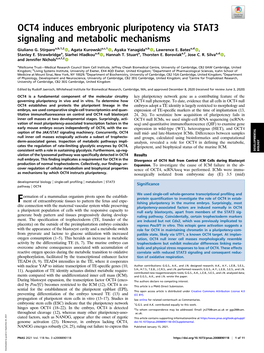 OCT4 Induces Embryonic Pluripotency Via STAT3 Signaling and Metabolic Mechanisms