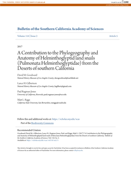 A Contribution to the Phylogeography and Anatomy of Helminthoglyptid Land Snails (Pulmonata:Helminthoglyptidae) from the Deserts of Southern California David M