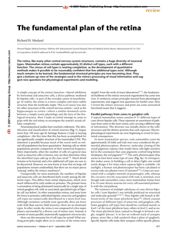 The Fundamental Plan of the Retina