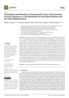 Evaluation and Selection of Interspecific Lines Of