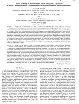 Cloacal Anatomy of Paedomorphic Female Ambystoma Talpoideum (Caudata: Ambystomatidae), with Comments on Intermorph Mating and Sperm Storage