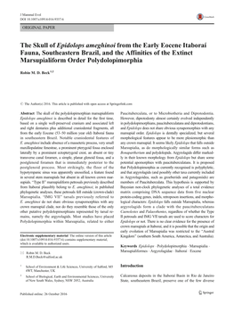 The Skull of Epidolops Ameghinoi from the Early Eocene Itaboraí Fauna, Southeastern Brazil, and the Affinities of the Extinct Marsupialiform Order Polydolopimorphia