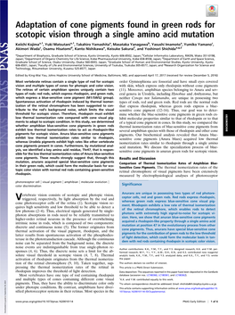 Adaptation of Cone Pigments Found in Green Rods for Scotopic Vision Through a Single Amino Acid Mutation