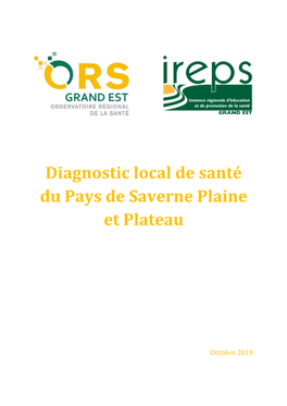 Rapport DLS Saverne