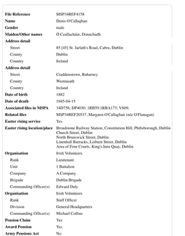 File Reference MSP34REF4158 Name Denis O'callaghan Gender Male Maiden/Other Names Ó Ceallacháin, Donnchadh Address Detail Street 85 [45] St