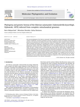 Phylogeny and Genetic History of the Siberian Salamander