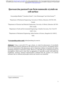 Sporosarcina Pasteurii Can Form Nanoscale Crystals on Cell Surface
