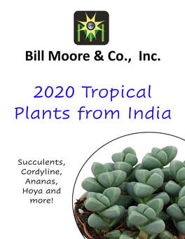 2020 Tropical Plants from India