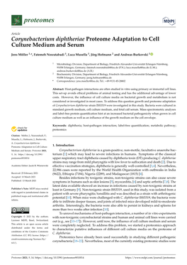 Corynebacterium Diphtheriae Proteome Adaptation to Cell Culture Medium and Serum