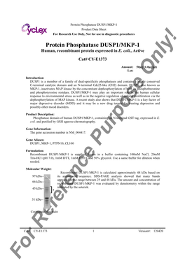 Protein Phosphatase DUSP1/MKP-1 Product Data Sheet for Research Use Only, Not for Use in Diagnostic Procedures