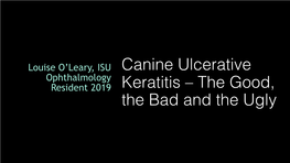 Corneal Ulcers with Endothelial Dysfunction – Gundersen Flap, Corneal Cross-Linking, Thermokeratoplasty