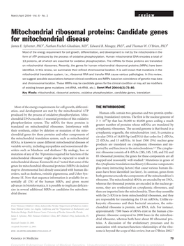 Mitochondrial Ribosomal Proteins: Candidate Genes for Mitochondrial Disease James E