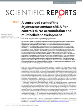 A Conserved Stem of the Myxococcus Xanthus Srna Pxr Controls Srna