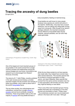 Tracing the Ancestry of Dung Beetles 25 April 2016