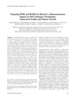 Targeting PI3K and RAD51 in Barrett's Adenocarcinoma: Impact on DNA