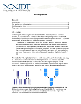 DNA Replication