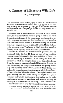 A Century of Minnesota Wild Life