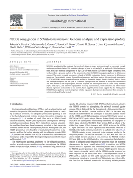 NEDD8 Conjugation in Schistosoma Mansoni: Genome Analysis and Expression Proﬁles