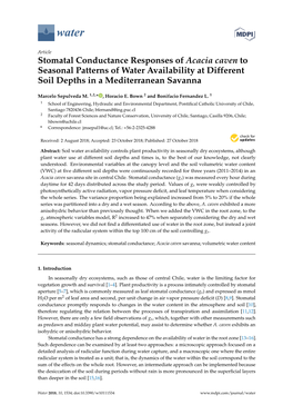 Stomatal Conductance Responses of Acacia Caven to Seasonal Patterns of Water Availability at Different Soil Depths in a Mediterranean Savanna