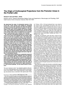 The Origin of Corticospinal Projections from the Premotor Areas in the Frontal Lobe